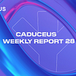 Caduceus Weekly Report 28