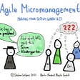 Agile Micromanagement—Seriously