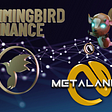 Metalandz joins NestSwap to offer yield farming and a staking pool for holders