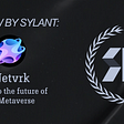 Netvrk — Step into the future of the Metaverse