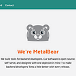 How we use Rust and low-level programming to build MetalBear