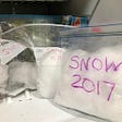 There’s snow place like home: Why I keep snow in my freezer.