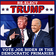The Last Ricture, Joe: The Slow-Motion Disaster That Is Joe Biden