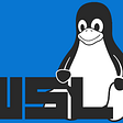 WSL 2 + Kali : The EASY Way