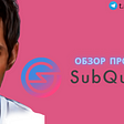 SubQuery Network: обзор проекта простыми словами