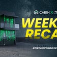 Cabin X | Weekly Recap