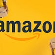WHAT IS AMAZON ALL ABOUT? | Bizvee