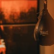 Lessons I learnt from Boxing Training