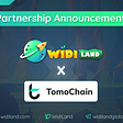 New Partnership Announcement: TomoChain and WidiLand to build up the social metaverse
