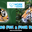 Flying Fox has recently partnered with global animal welfare organization Four Paws via.