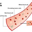 Liquid Biopsy: A Non-Invasive Technique Detecting Cancer through Blood