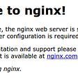 How To Install Nginx And Secure Nginx with Let’s Encrypt on Ubuntu