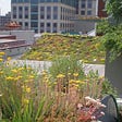 Commercial Construction’s Role in Sustainable Building