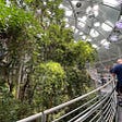 5 Awesome Bay Area Kids’ Activities for a Rainy Day
