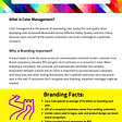 Brand Consistency Through Color Management