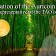 Presentation of the Auricoin money to the Representative of the TAO on Earth