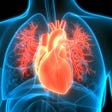 Pericardiocentesis in Cardiac Tamponade — Innovative Treatment Methods