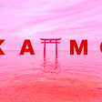 ADAmatic name change — Akamon