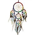 Dreamcatcher: What is your Heart asking of you?