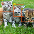 UP-DETR: Unsupervised Pre-training for Object Detection with Transformers (Paper Explained)