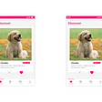 Dating App for Pets | Experience Design