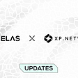 XP.NETWORK Opens the Upgraded Bridge to More Chains