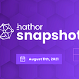 Hathor Network Snapshot #6