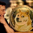 Can DOGE make you rich in the next Bull Run?
