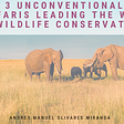 3 Unconventional Safaris Leading the Way in Wildlife Conservation