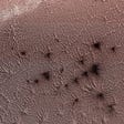 The Mystery of the ‘Martian Spiders’