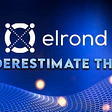 ELROND: Do Not Underestimate This Project!