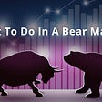 How to Survive a Bear Market