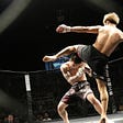 Why You Should Consider Watching Mixed Martial Arts
