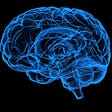 Visualizing the Brain:
A Novel Approach