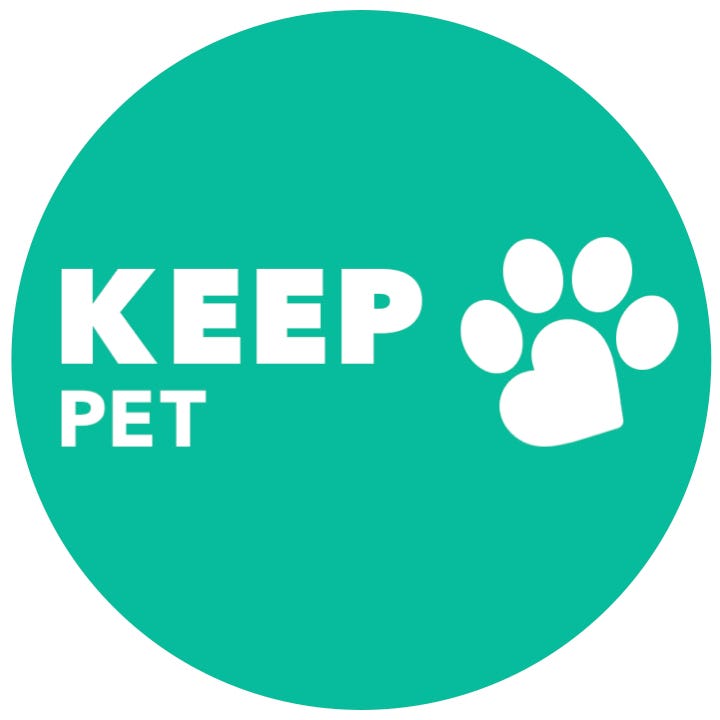 About KeepPet Online Vet for Your Pet Medium