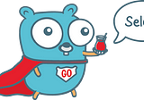 Golang Blazing Fast Unit Tests - Fiber/fasthttp/http Internals and Optimizing HTTP Server Tests