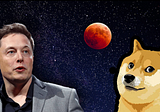 Elon Musk Shares A New Dogecoin (DOGE)