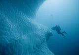 My Top Five Short Film Recommendations from the online D.C. Environmental Film Festival