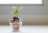 9 Eco-Friendly Ways to Save Money