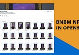 How to View Your BNBM NFT in Opensea 🌊