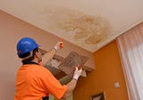 How Home Inspectors Check for Mold