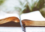 Dissertation Writing Advice: The Prospectus