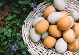 Can Vegans Eat Eggs?