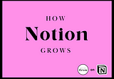 How Notion Grows