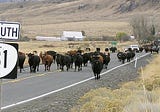 What is the Oregon Outback?