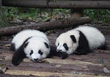 RESTful Pandas
