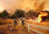 Arsonist Birds