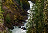 Downstream, South Fork Skokomish River, Washington, 2017