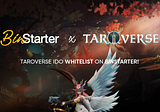 Taroverse IDO Whitelist on BinStarter