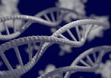 25 Years Ago, the First Report of a Mutation Associated With Parkinson’s Disease